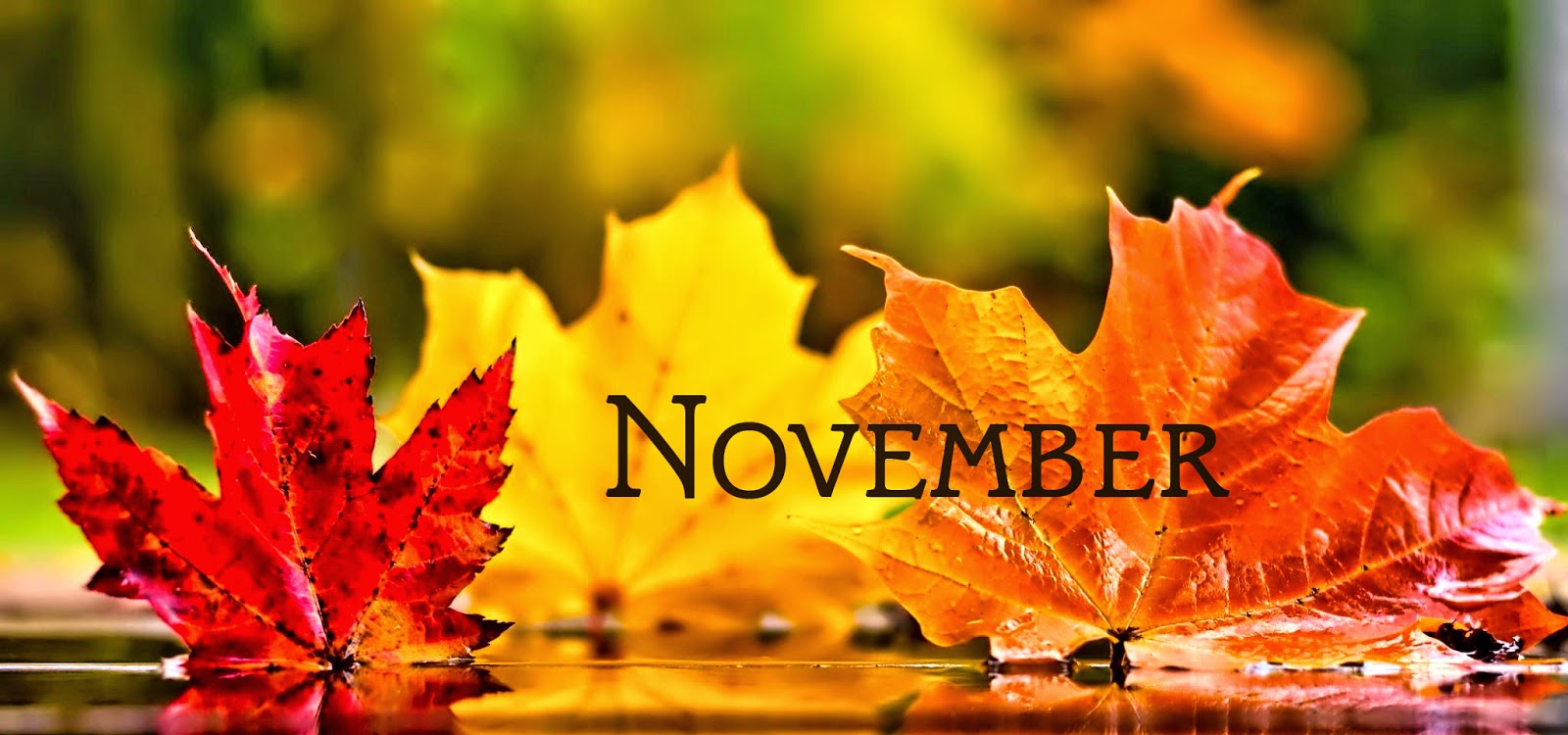 November