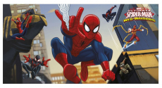 Spiderman Tür-banner 77cm x150