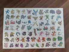 Pokemon Hauttattoos